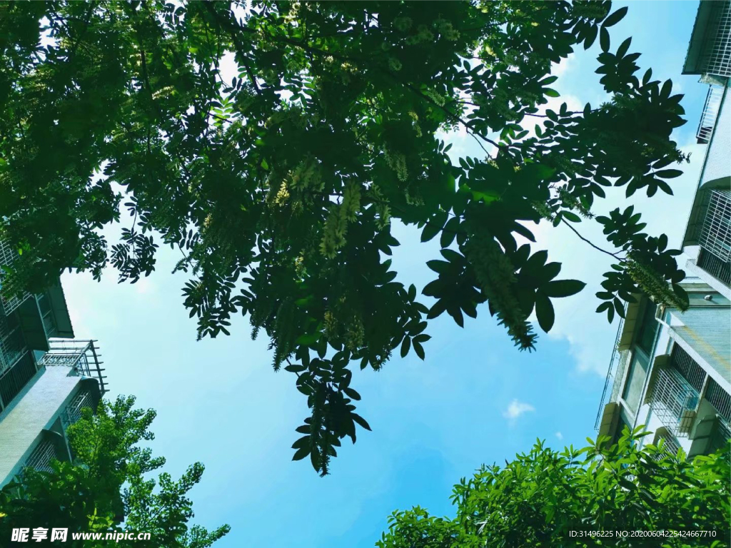 蓝色天空