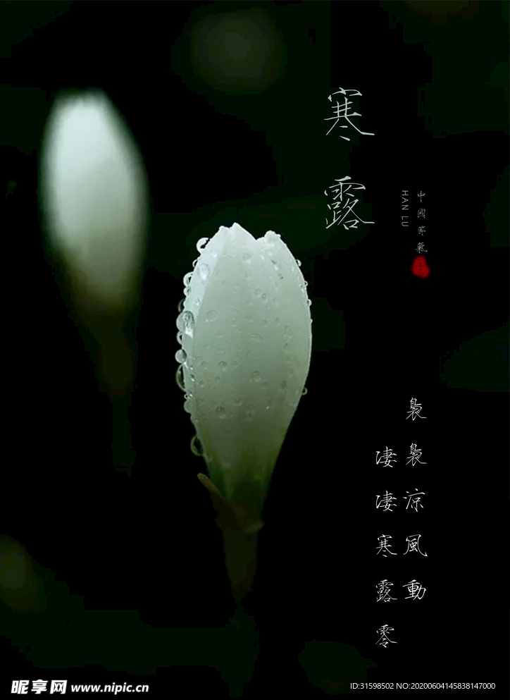 寒露