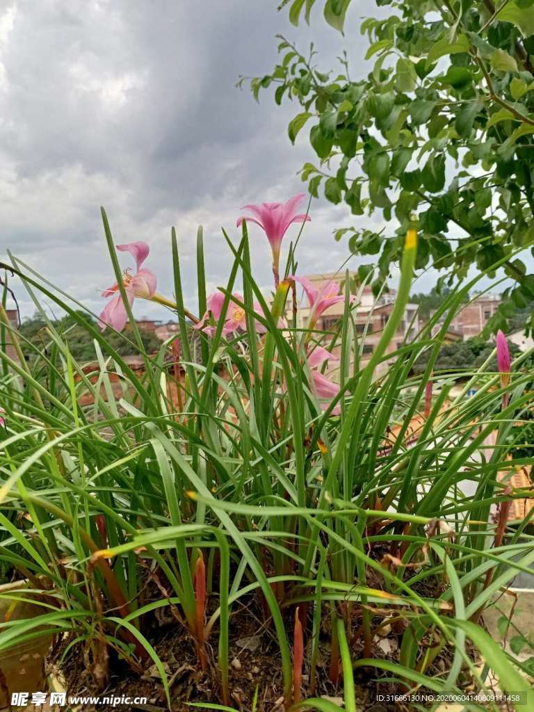 手机拍摄风景图