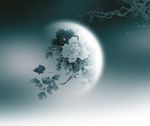 古装