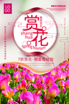 春季赏花