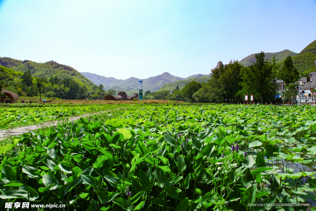 安吉 余村