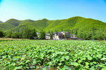 安吉 余村