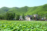 安吉 余村
