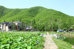 安吉 余村