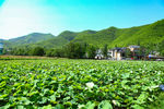 安吉 余村