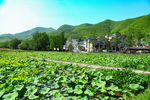 安吉 余村