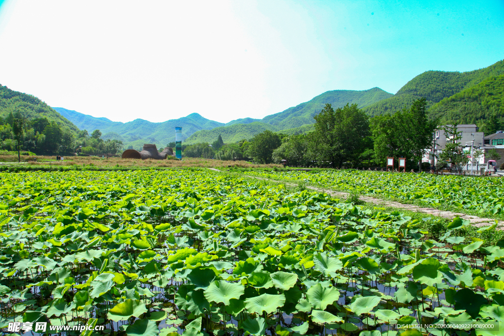 安吉 余村