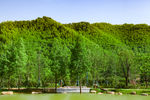 安吉 余村