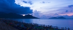 大海