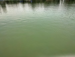 湖面