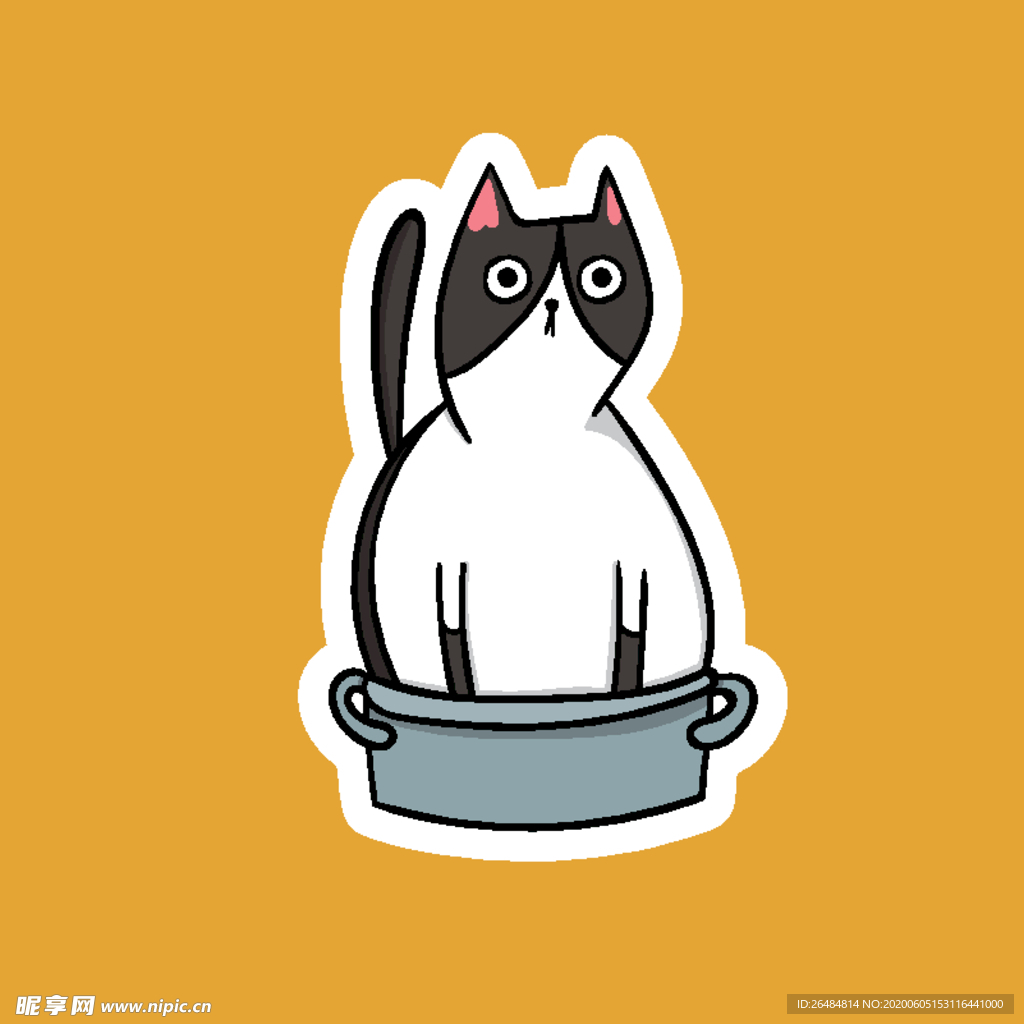 猫咪