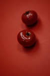 番茄