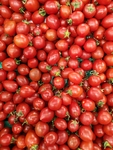 番茄