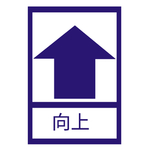 向上