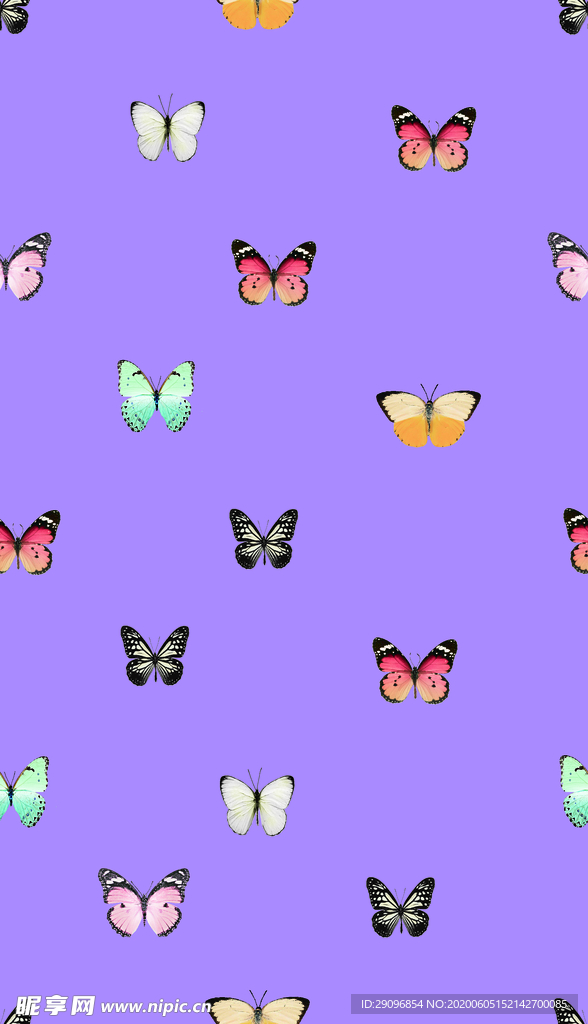 蝴蝶 数码 印花 图案