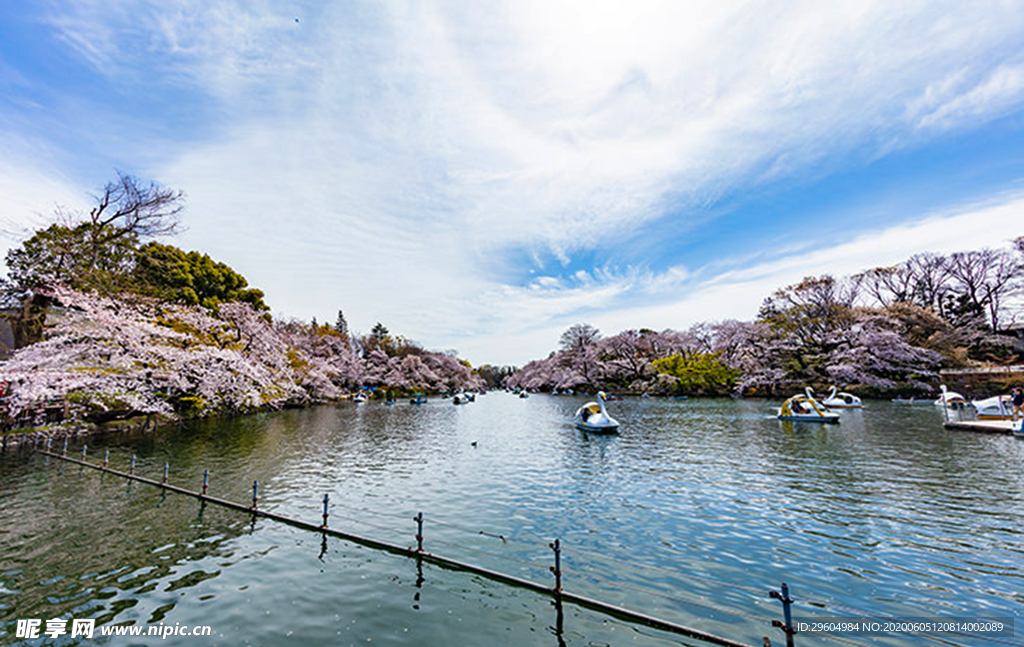 桃花山水画春天