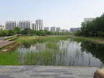 公园