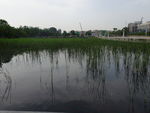 公园