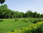 公园