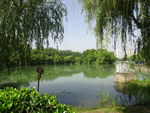 公园
