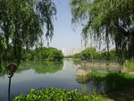 公园