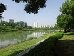 公园
