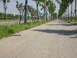 道路