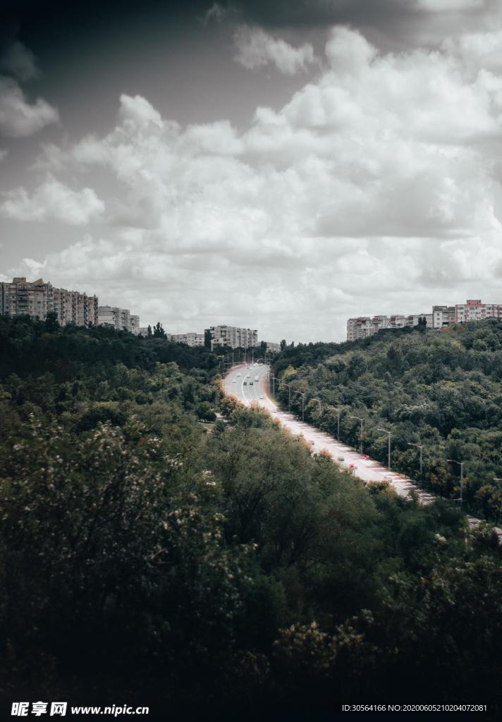 森林树木道路天空背景素材