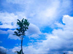 天空