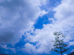 天空
