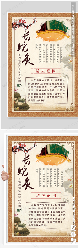 长蛇灸海报