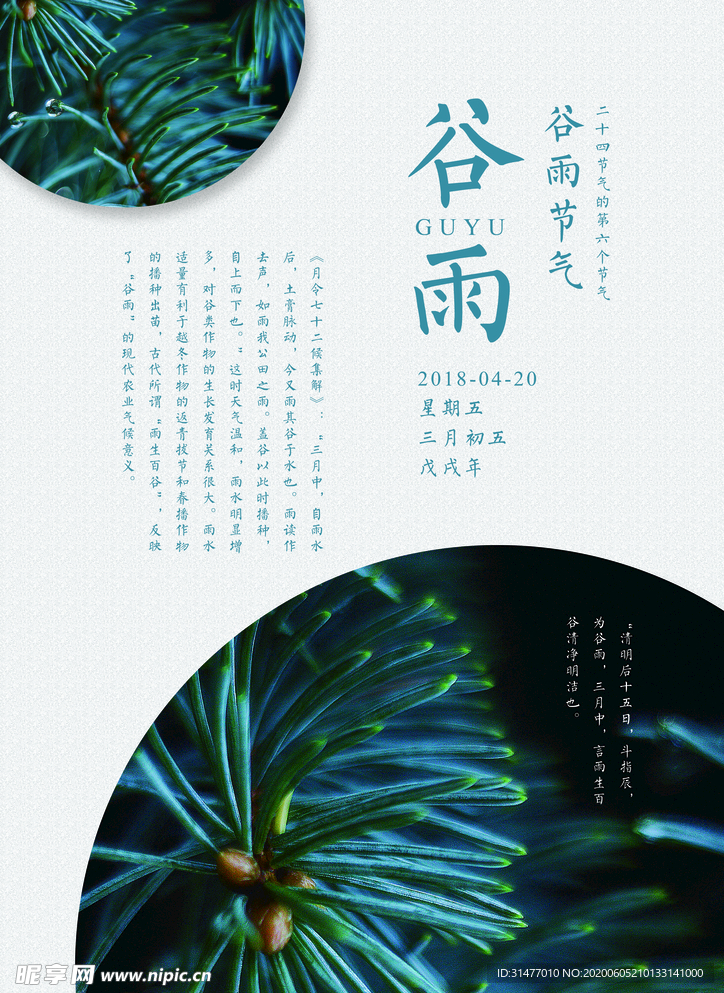 文艺清新谷雨节气海报