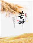 芒种节气海报