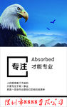 专注