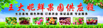 水果