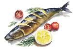 海鲜秋刀鱼绘画