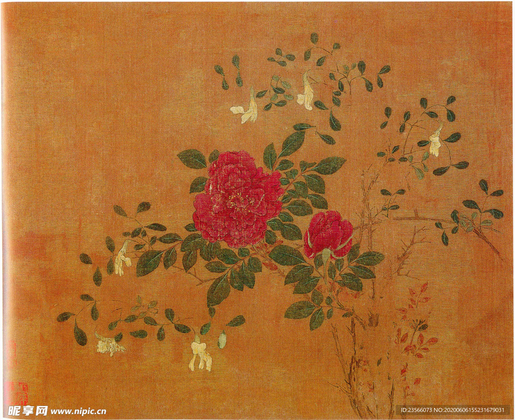 黄居寀花卉写生绘画