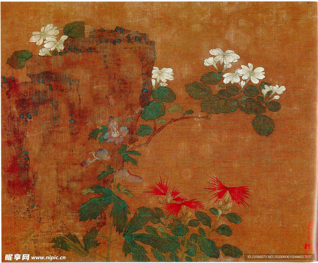 黄居寀花卉写生绘画