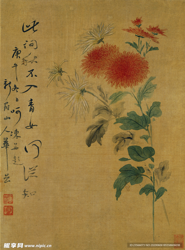 清代恽寿平花草绘画