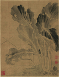 清代恽寿平花草绘画