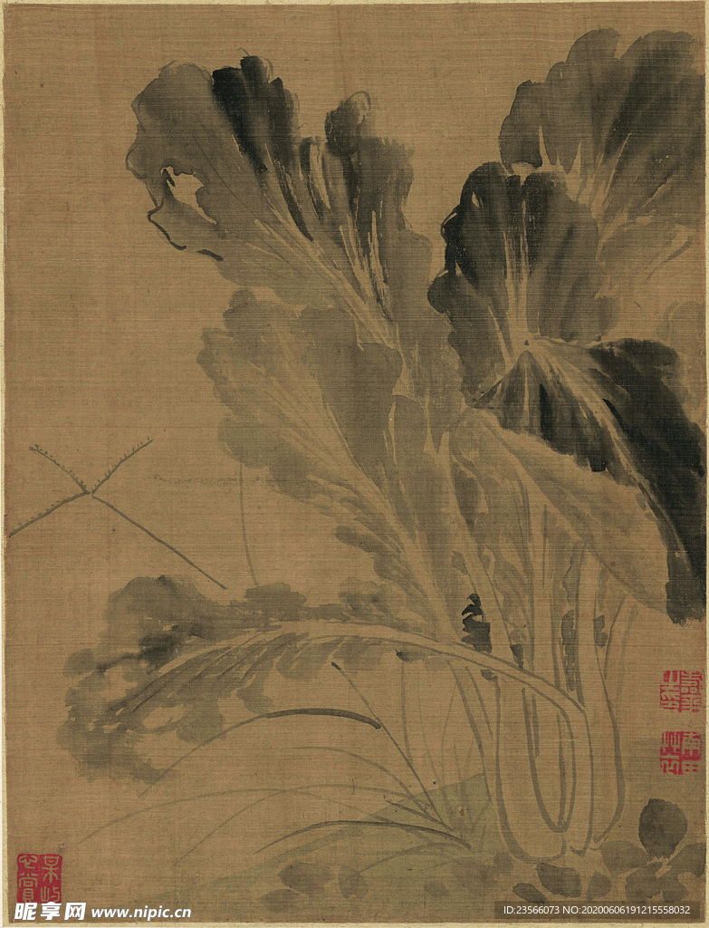 清代恽寿平花草绘画