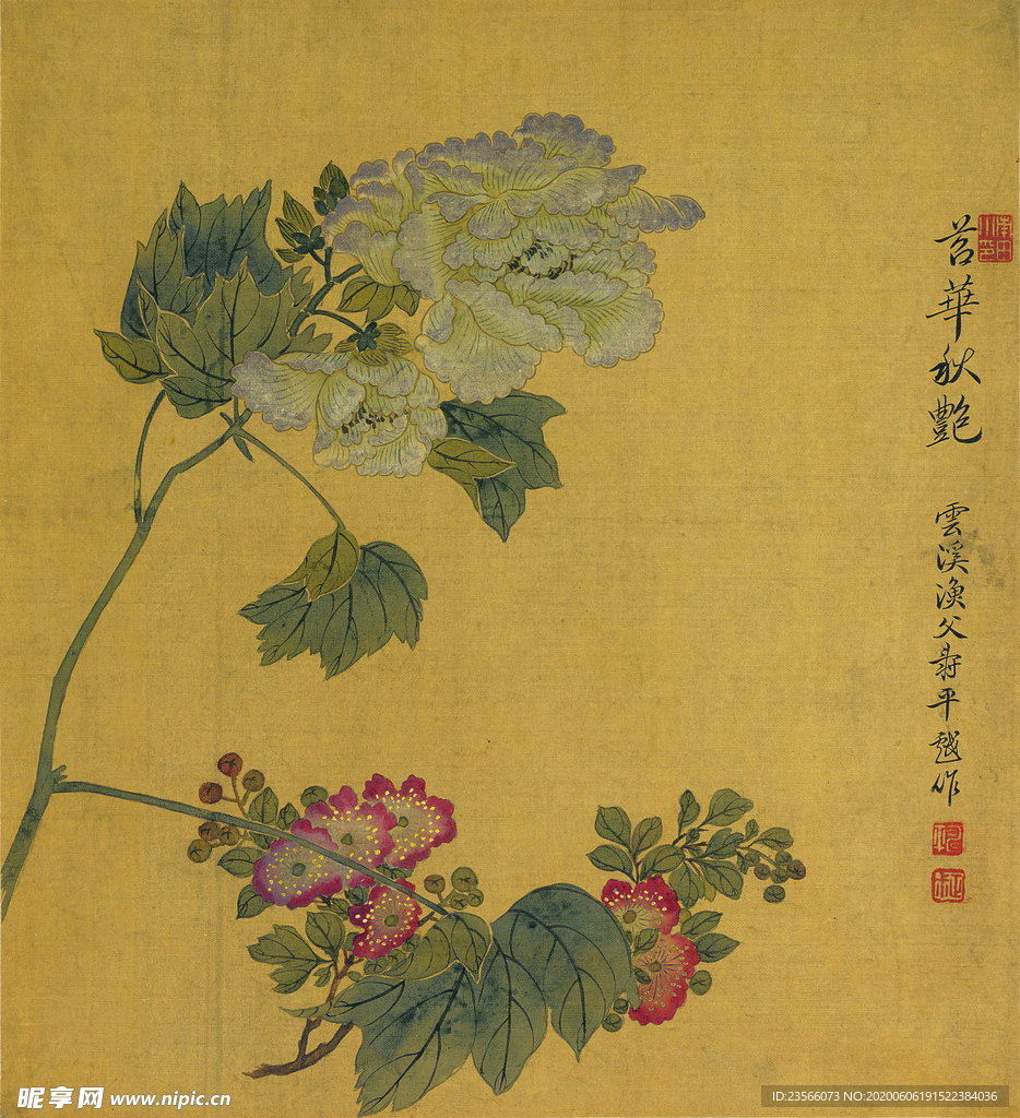 清代恽寿平花草绘画