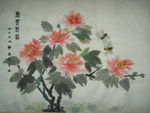 牡丹