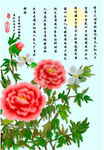 牡丹