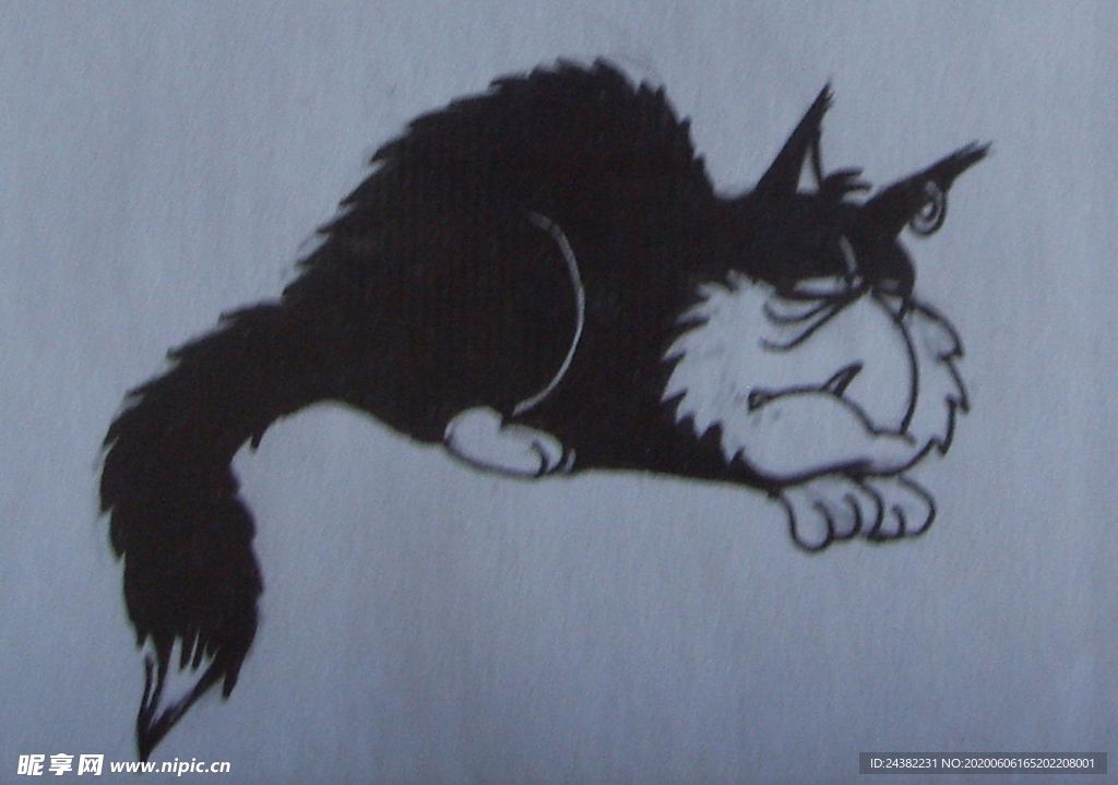 猫