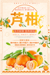 芦柑海报