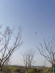 慧海湾