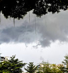 云雨