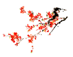 梅花
